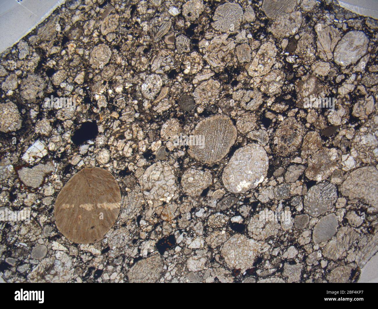 Micrograph of ALHA79003,4 meteorite under plane-polarized light at 1.25x magnification. Stock Photo