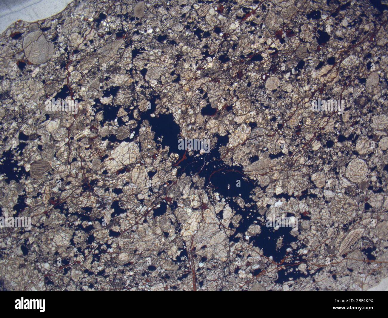 Micrograph of RKPA80267,2 meteorite under plane-polarized light at 1.25x magnification. Stock Photo