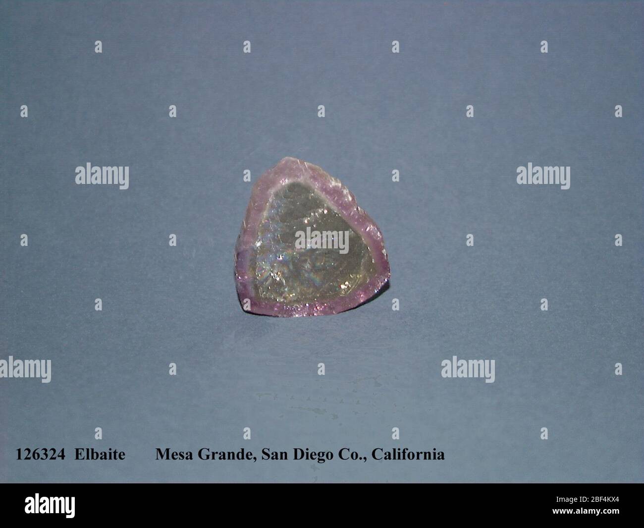 Elbaite (NMNH 126324-00) from the National Mineral Collection. Stock Photo