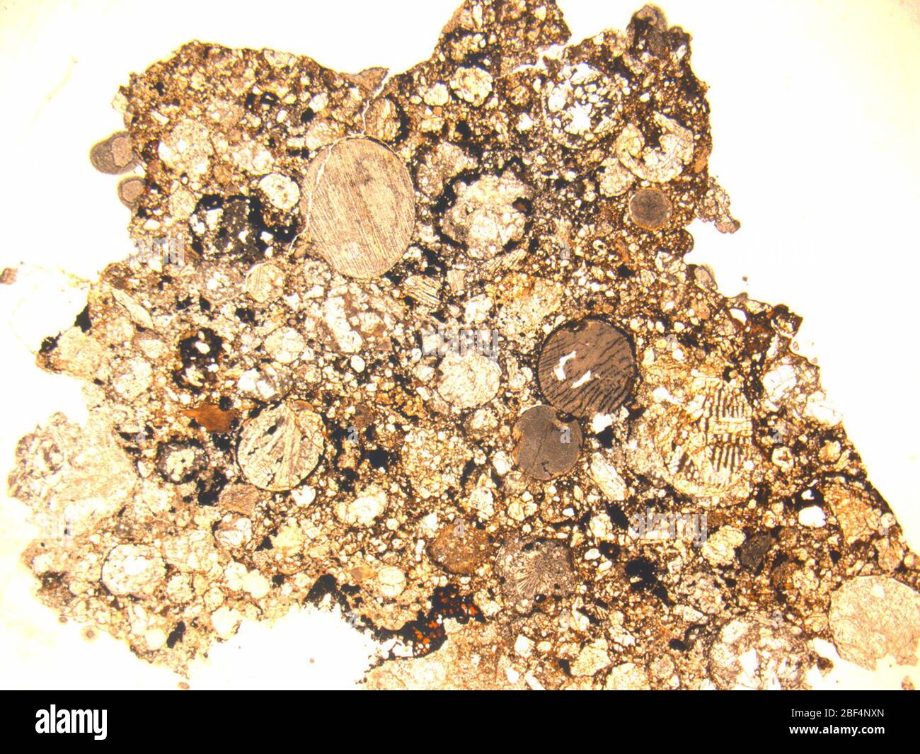Micrograph of DOM 08385,2 meteorite under plane-polarized light at 1 ...