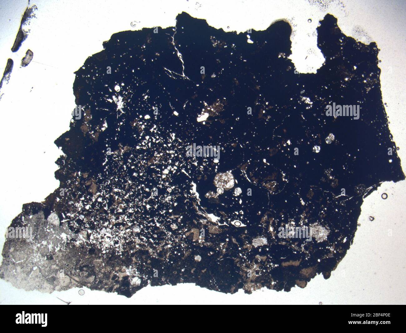 Micrograph of LAP 02348,2 meteorite under plane-polarized light at 1 ...