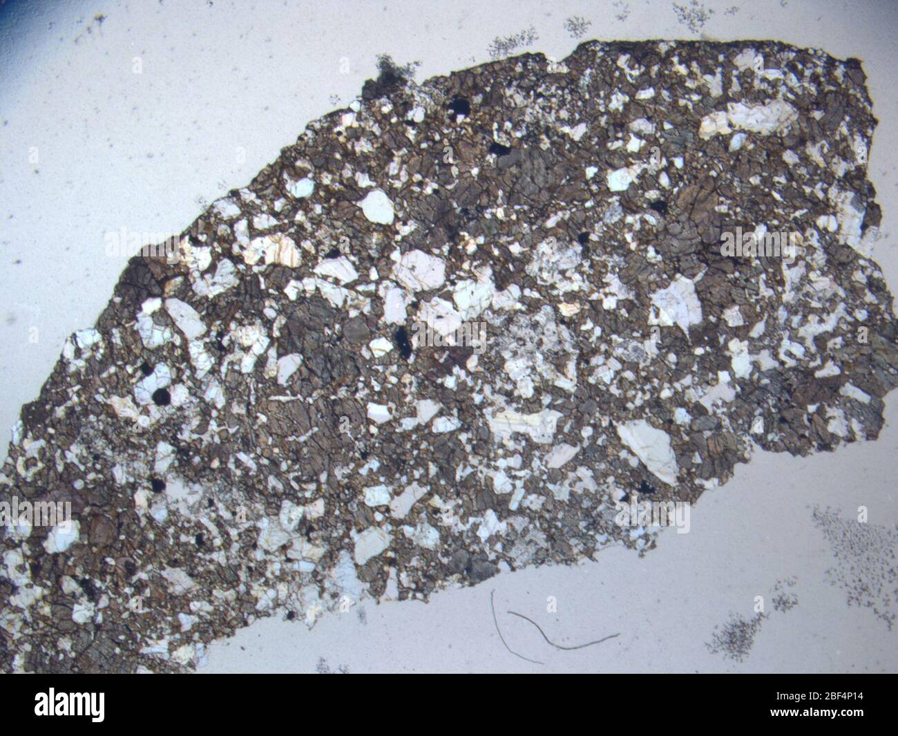 Micrograph of LAP 03782,2 meteorite under plane-polarized light at 1 ...
