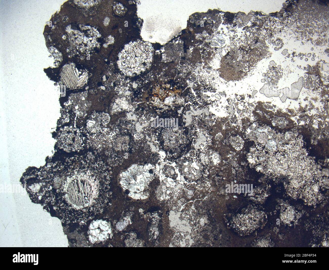 Micrograph of GRA 06101,2 meteorite under plane-polarized light at 1p25x magnification. Stock Photo