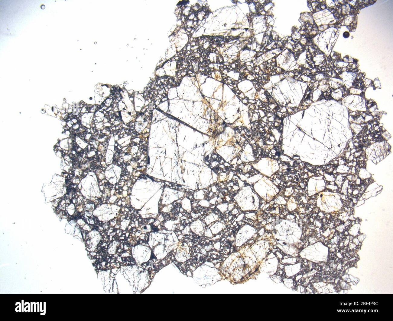 Micrograph of LAP 04844,3 meteorite under plane-polarized light at 1 ...