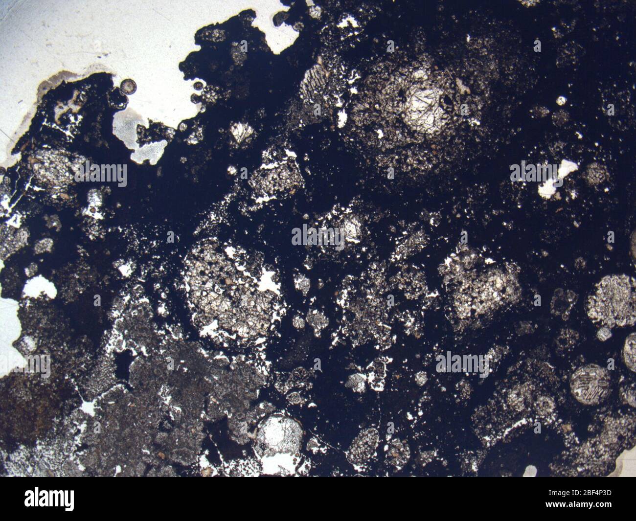 Micrograph of LAR 04364,2 meteorite under plane-polarized light at 1 ...