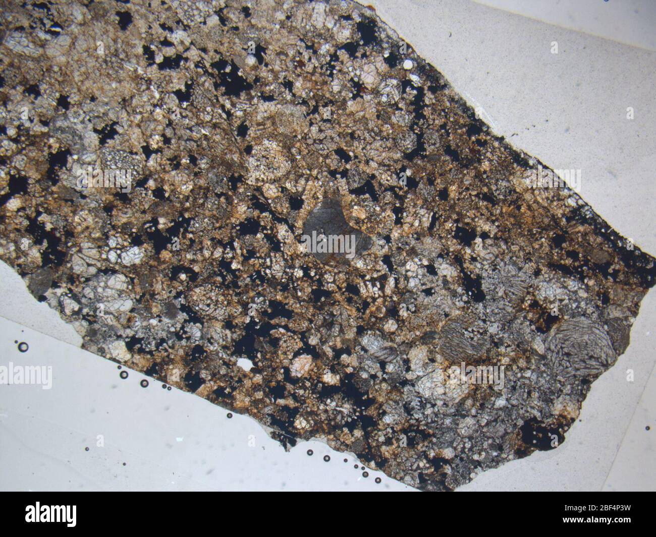 Micrograph of ALHA81109,1 meteorite under plane-polarized light at 1.25x magnification. Stock Photo