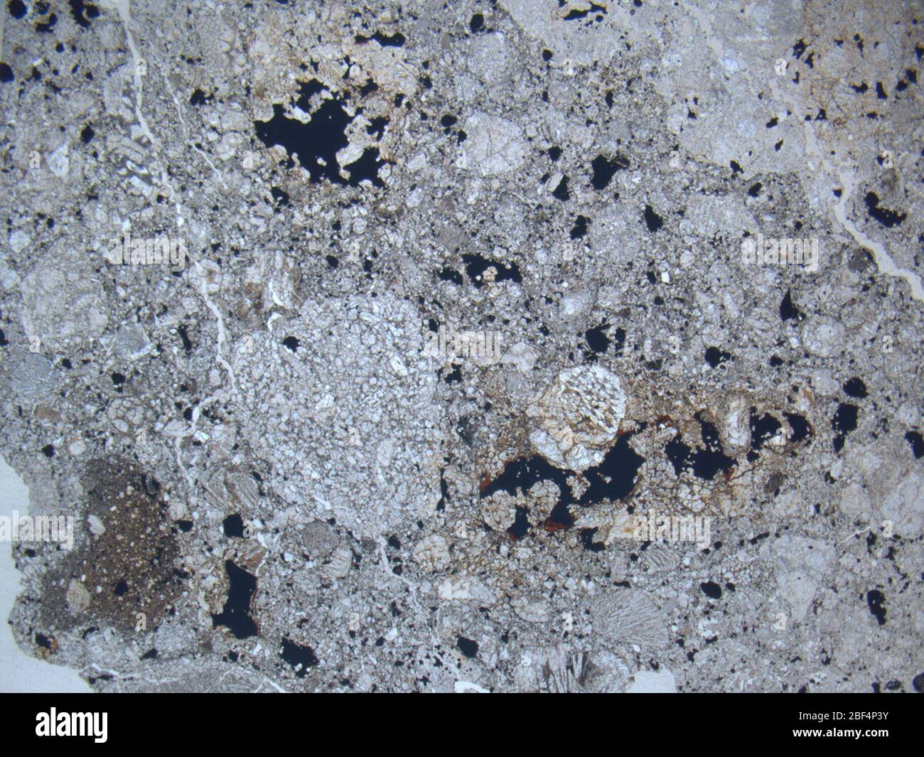 Micrograph of ALHA77216,15 meteorite under plane-polarized light at 1.25x magnification. Stock Photo