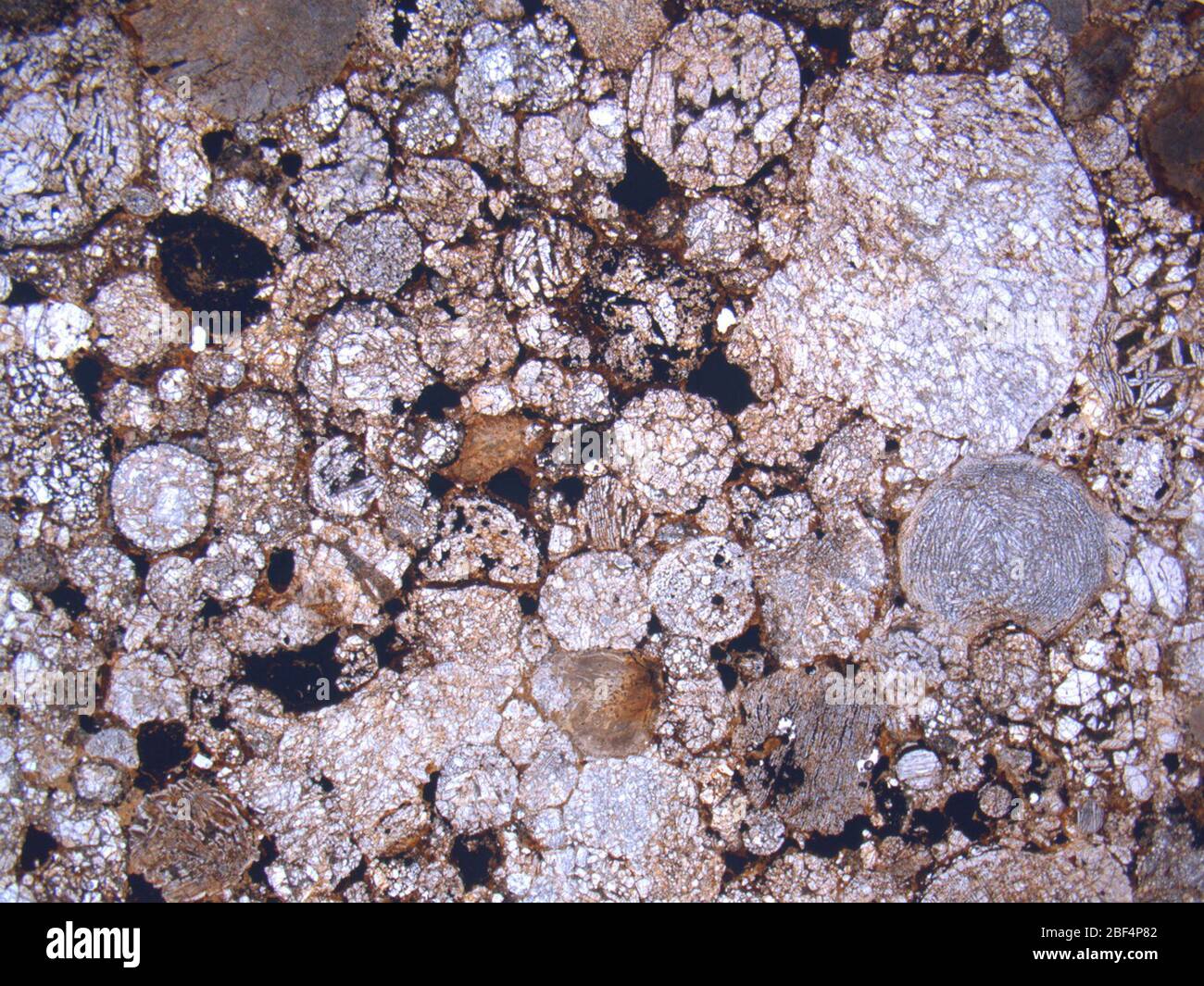 Micrograph of ALHA78046,5 meteorite under plane-polarized light at 1.25x magnification. Stock Photo