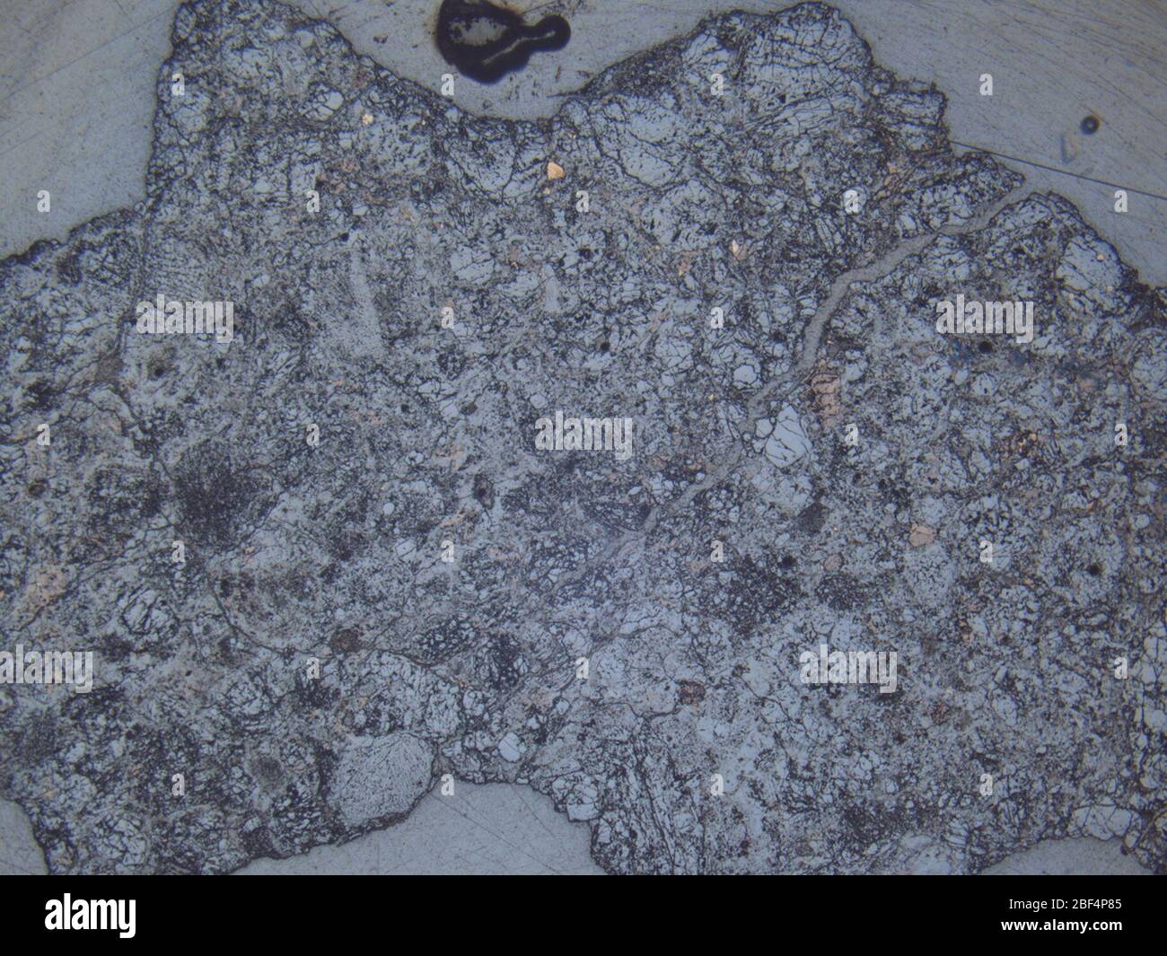 Micrograph of LEW 86018,6 meteorite under reflected light at 1.25x magnification. Stock Photo