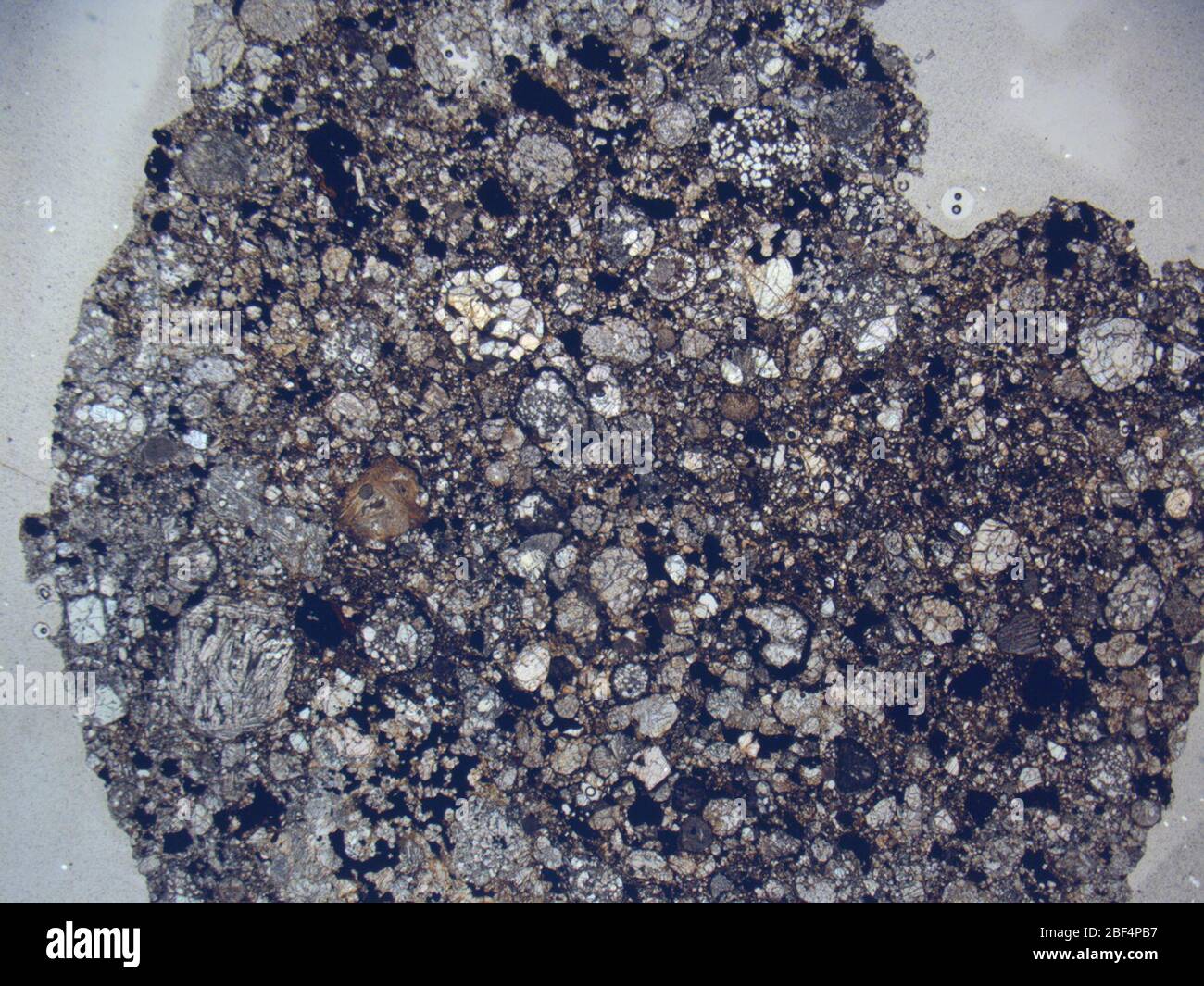 Micrograph of WIS 91627,2 meteorite under plane-polarized light at 1 ...