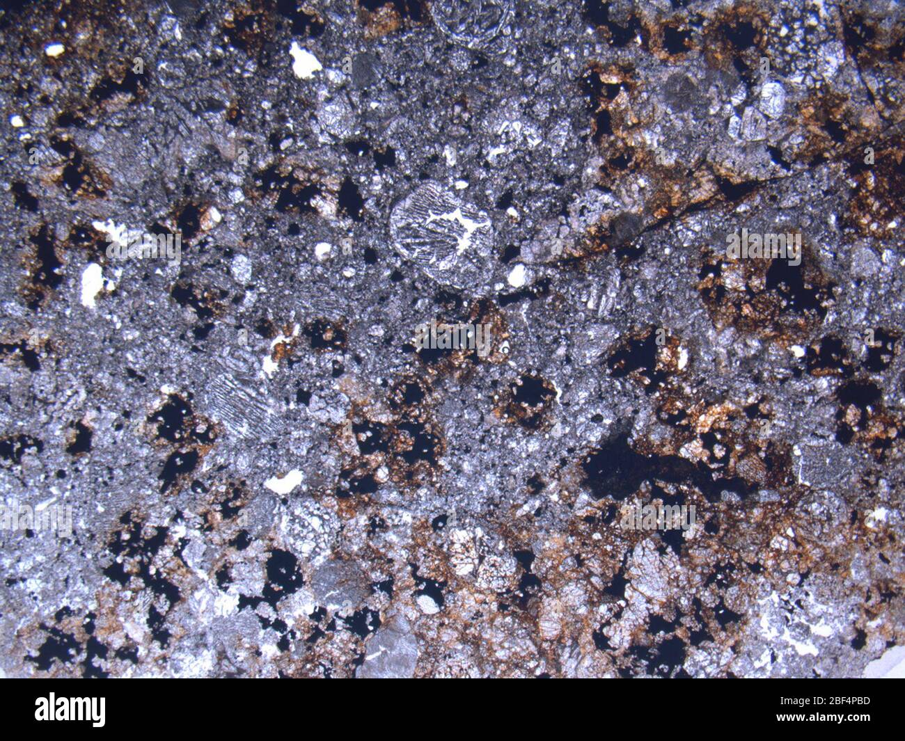 Micrograph of ALHA78051,5 meteorite under plane-polarized light at 1.25x magnification. Stock Photo