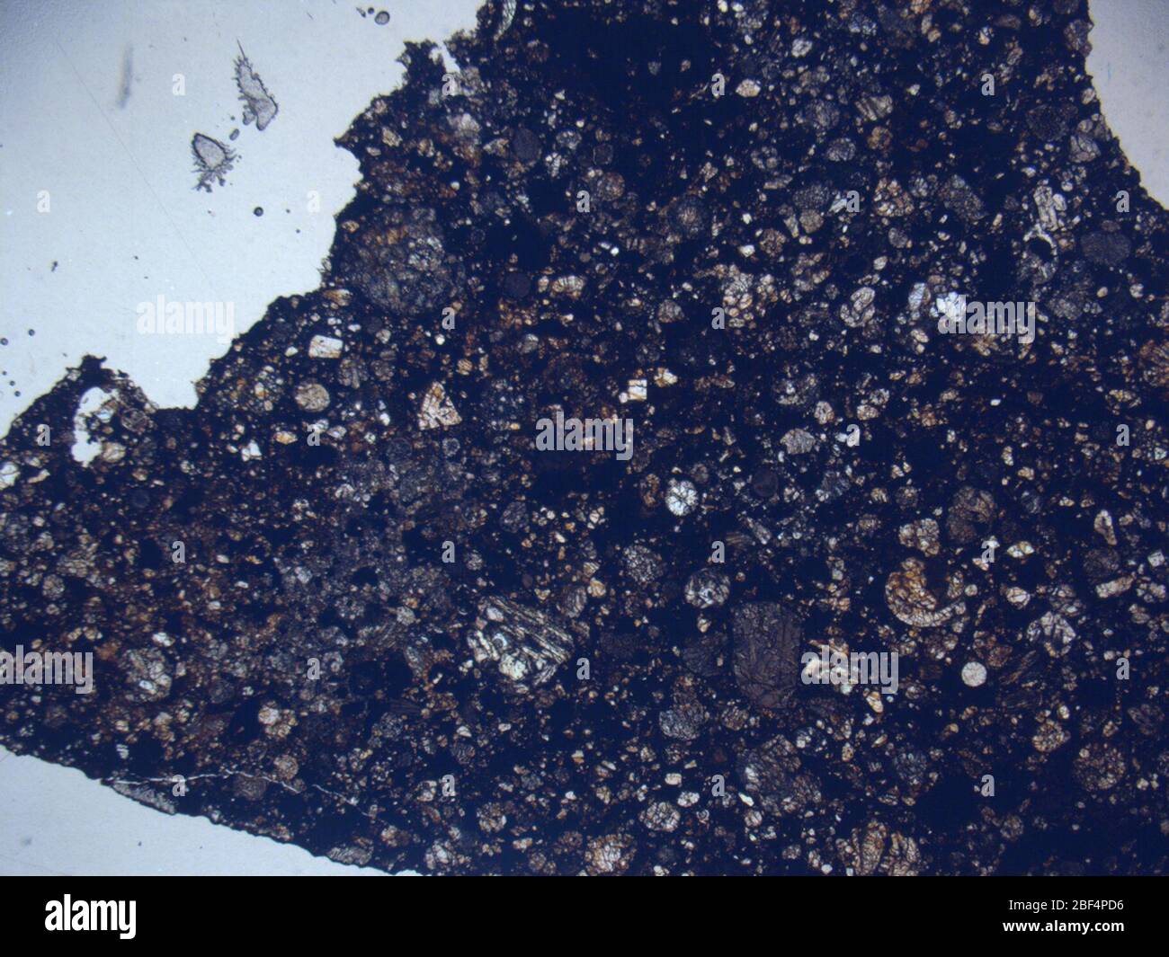 Micrograph of RKP 92434,2 meteorite under plane-polarized light at 1 ...