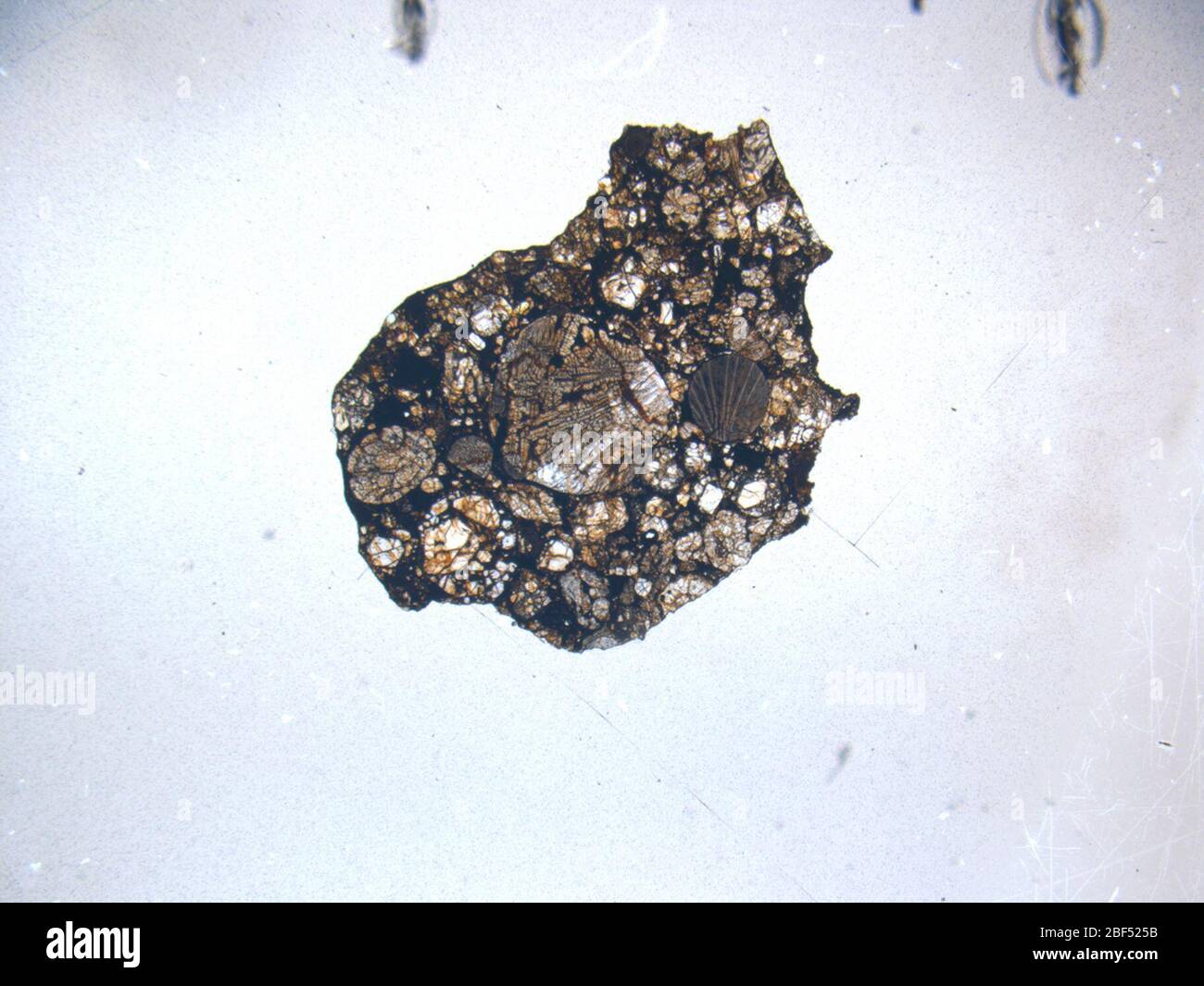 Micrograph of ALHA77164,2 meteorite under plane-polarized light at 1.25x magnification. Stock Photo