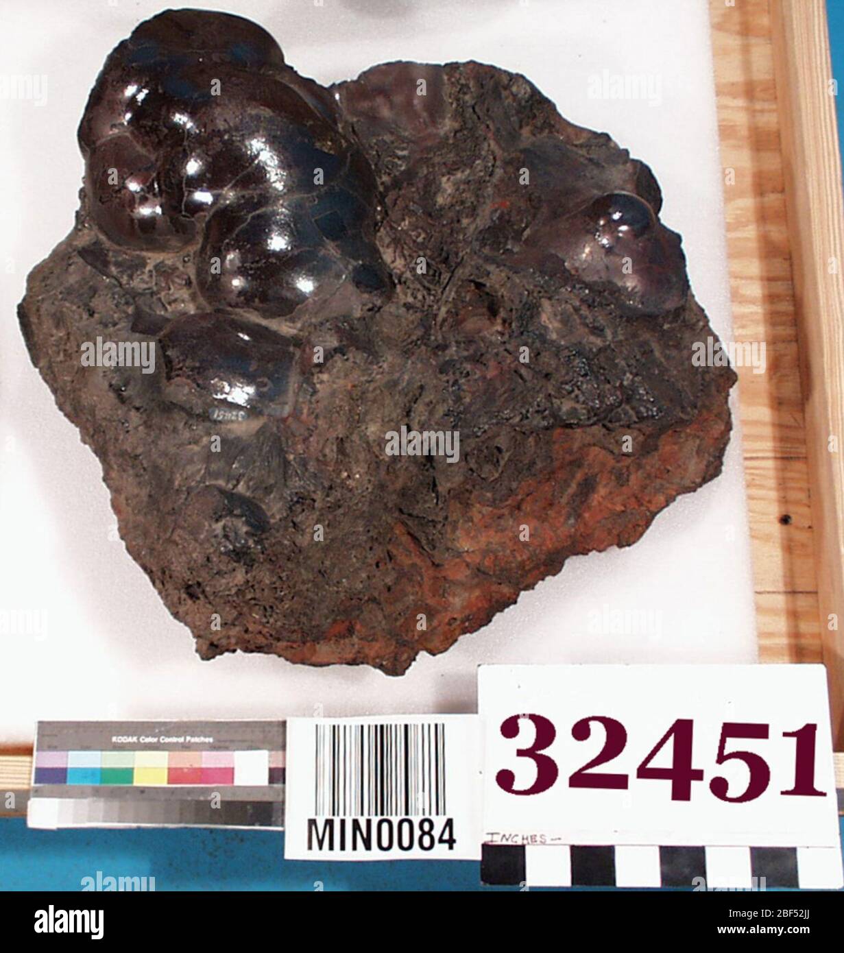 Bog iron hires stock photography and images Alamy