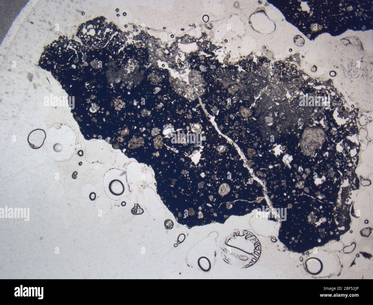 Micrograph of LAP 031195,2 meteorite under plane-polarized light at 1 ...