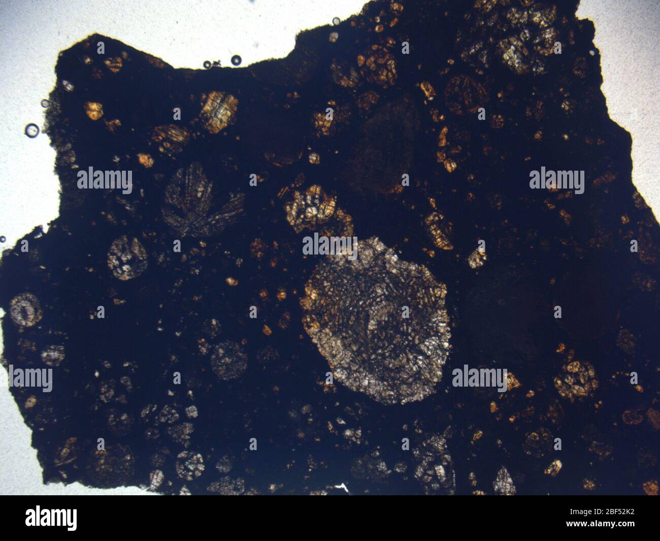 Micrograph of LAP 04612,2 meteorite under plane-polarized light at 1 ...