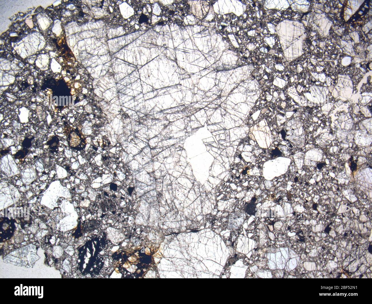 Micrograph of LAR 06512,2 meteorite under plane-polarized light at 1 ...