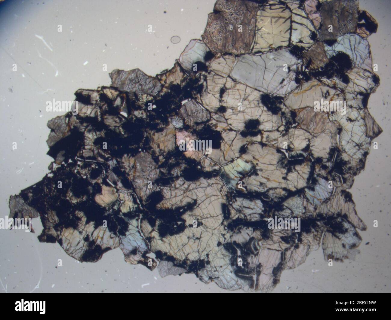 Micrograph of LAP 03722,4 meteorite under plane-polarized light at 1 ...