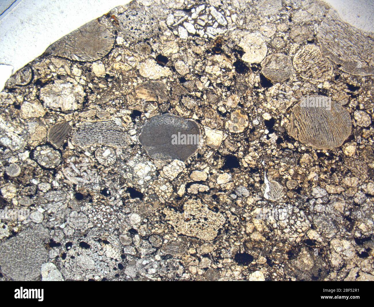 Micrograph of LAR 06674,2 meteorite under plane-polarized light at 1 ...