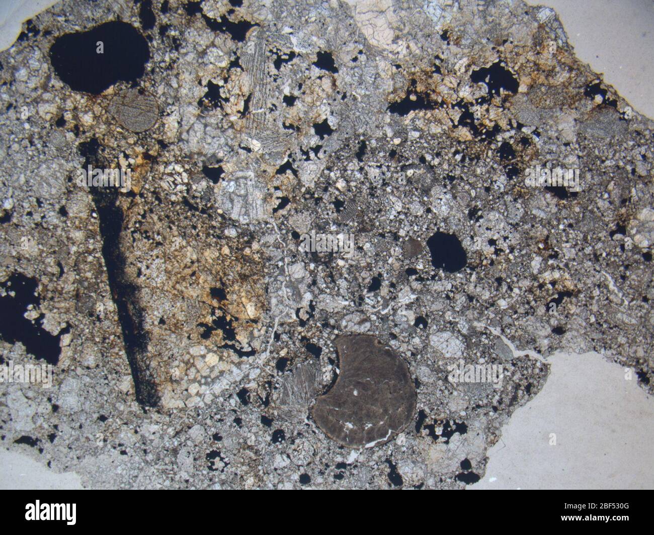 Micrograph of ALHA77252,8 meteorite under plane-polarized light at 1.25x magnification. Stock Photo