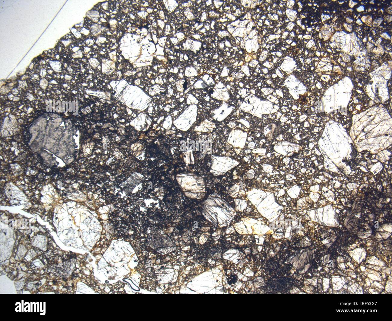 Micrograph of LAP 031309,2 meteorite under plane-polarized light at 1 ...
