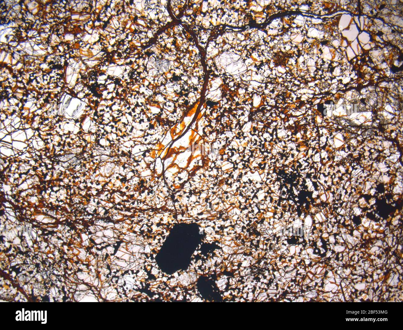 Micrograph of ALHA81098,3 meteorite under plane-polarized light at 1.25x magnification. Stock Photo