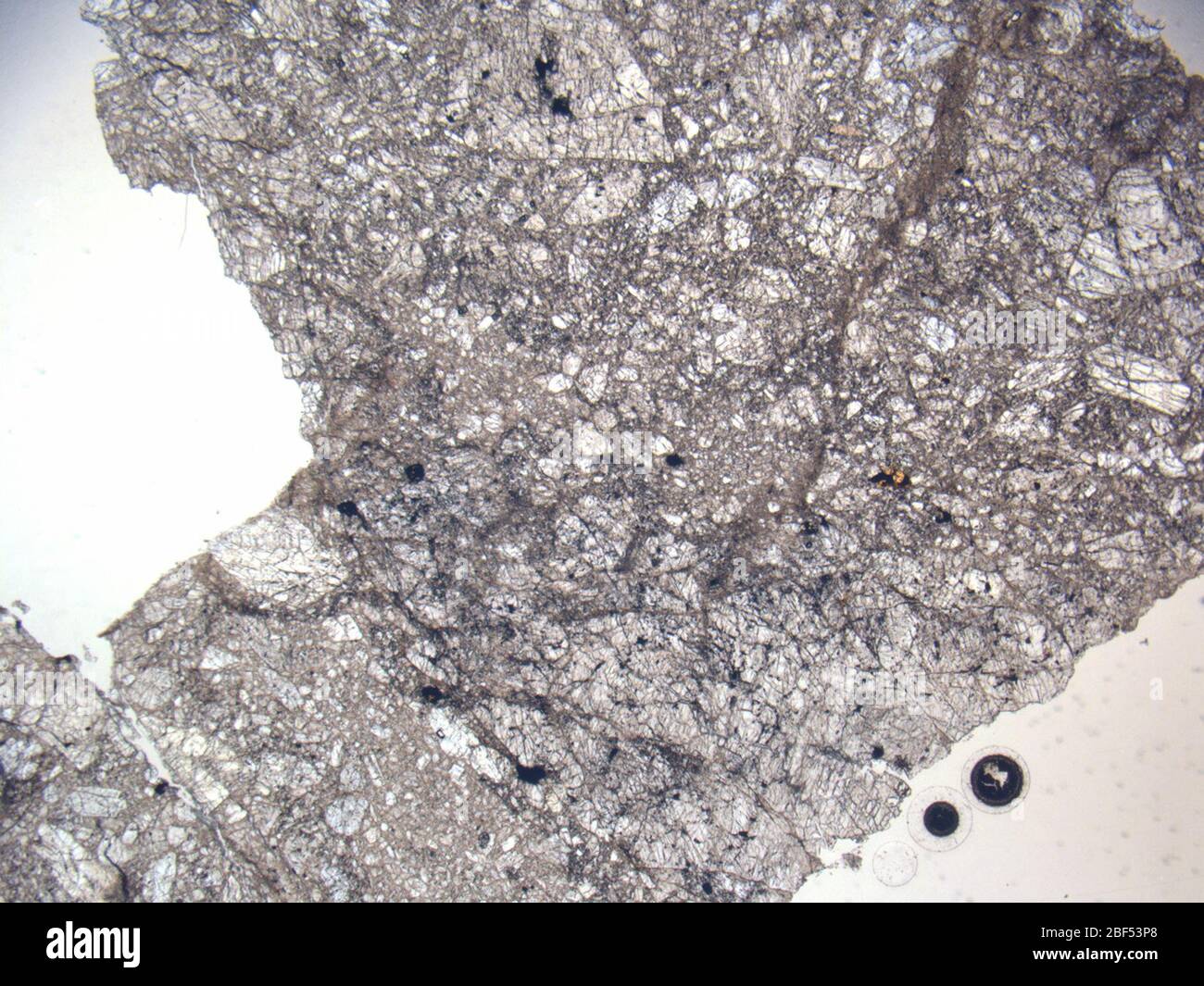 Micrograph of LAR 04316,7 meteorite under plane-polarized light at 1 ...