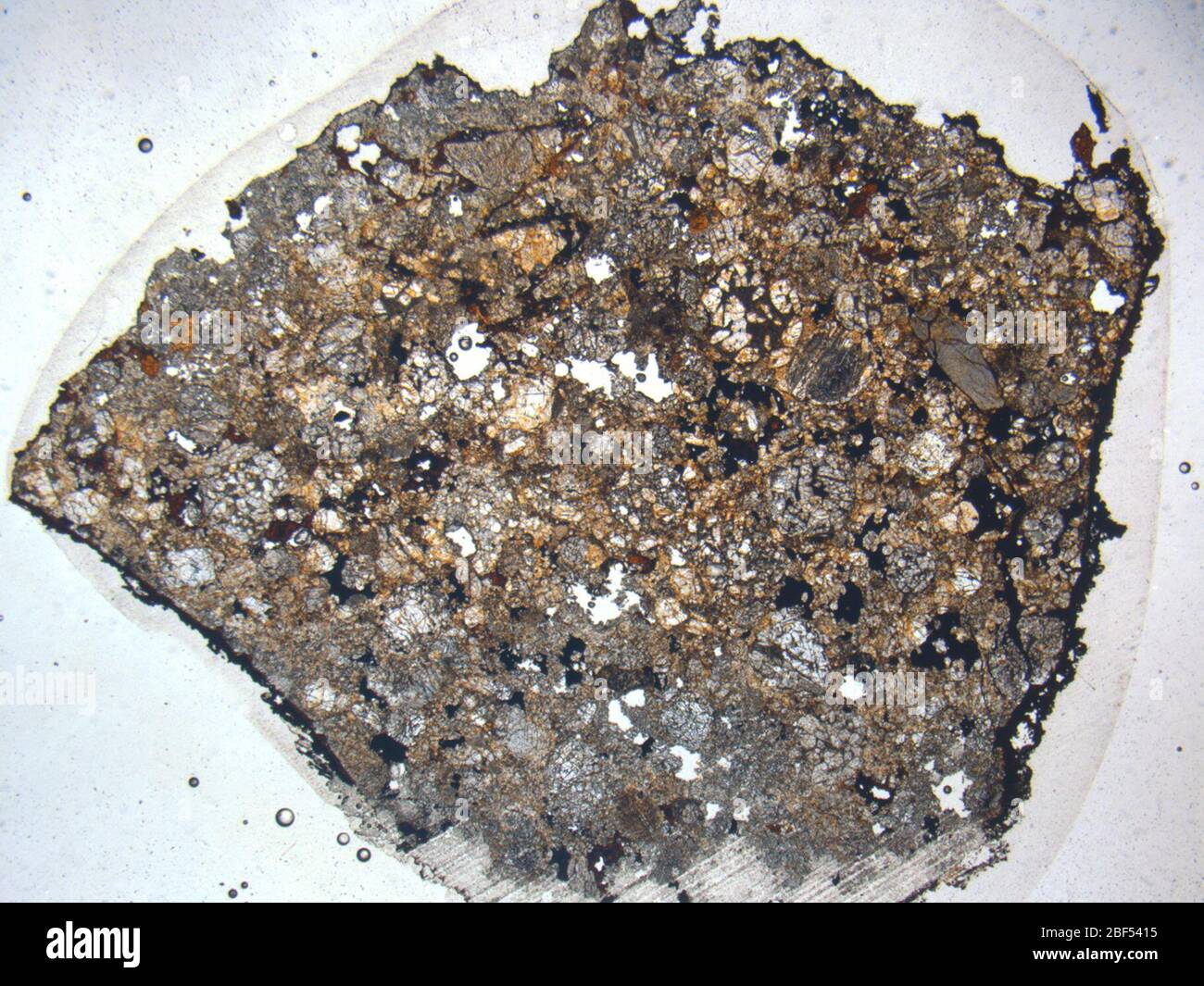 Micrograph of ALHA81309,1 meteorite under plane-polarized light at 1.25x magnification. Stock Photo
