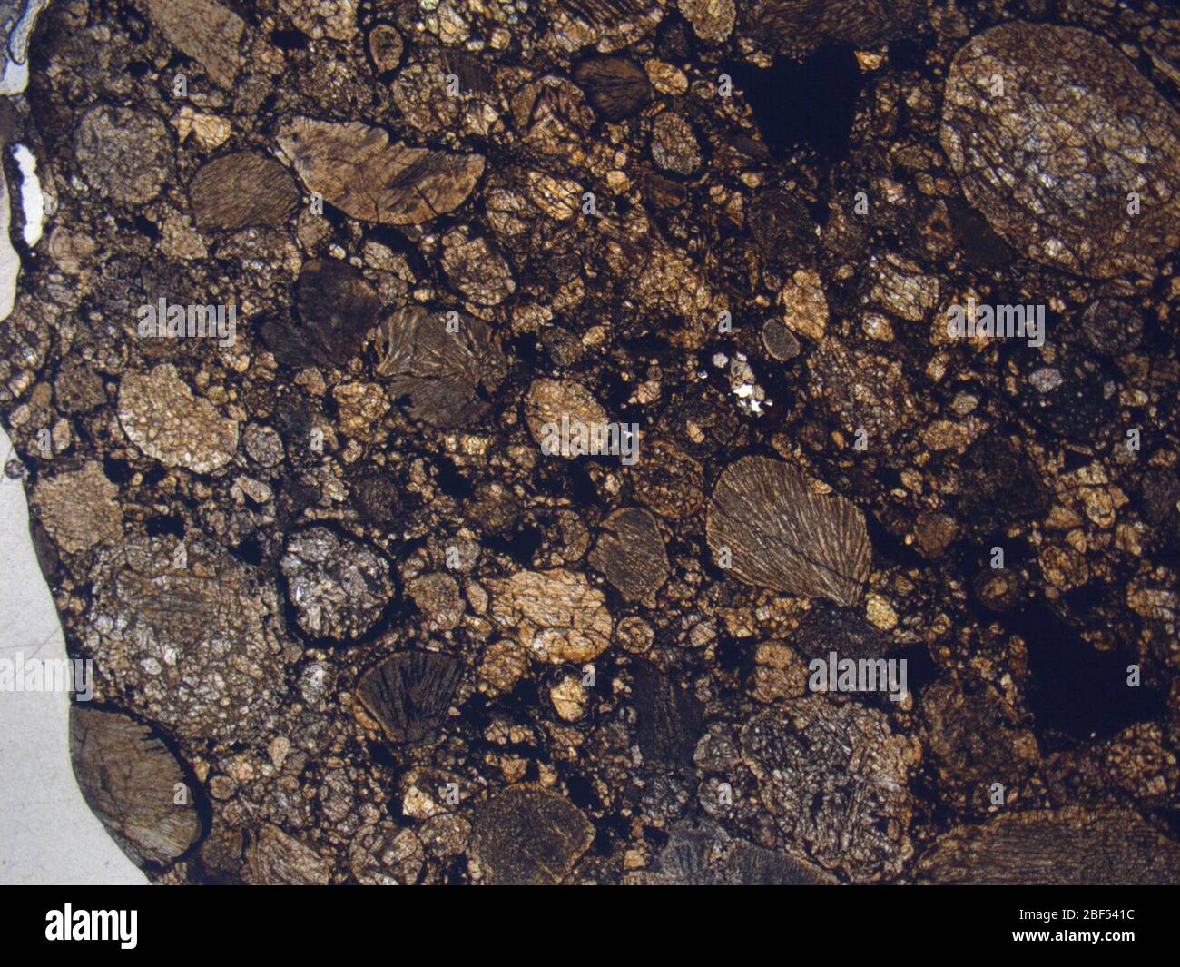 Micrograph of LAR 04380,2 meteorite under plane-polarized light at 1 ...