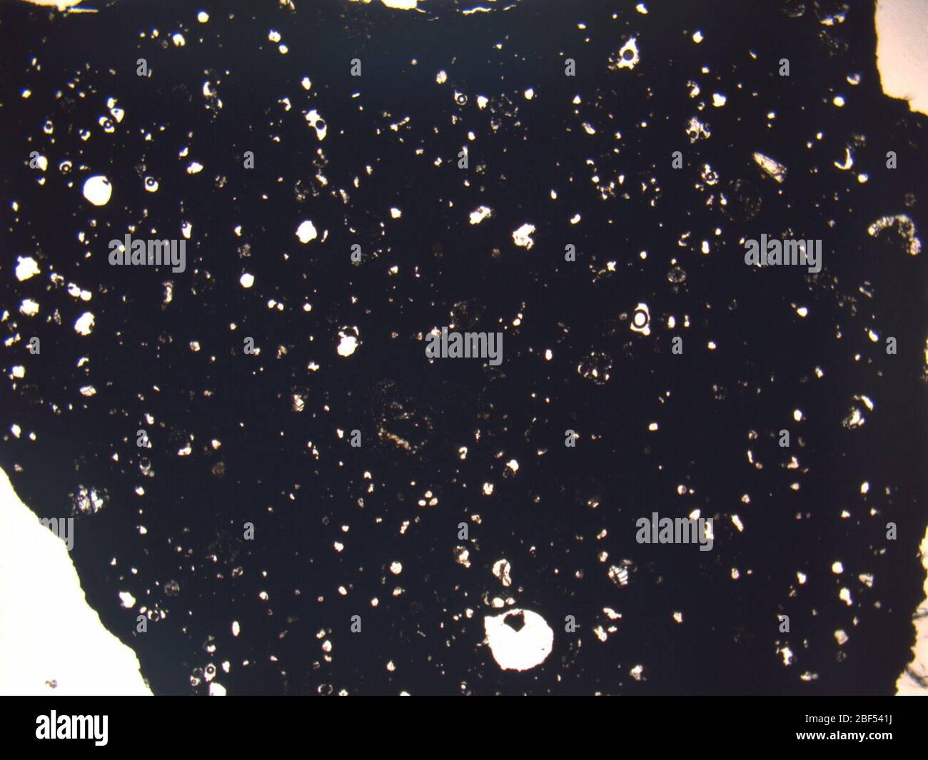 Micrograph of DOM 03183,2 meteorite under plane-polarized light at 1 ...