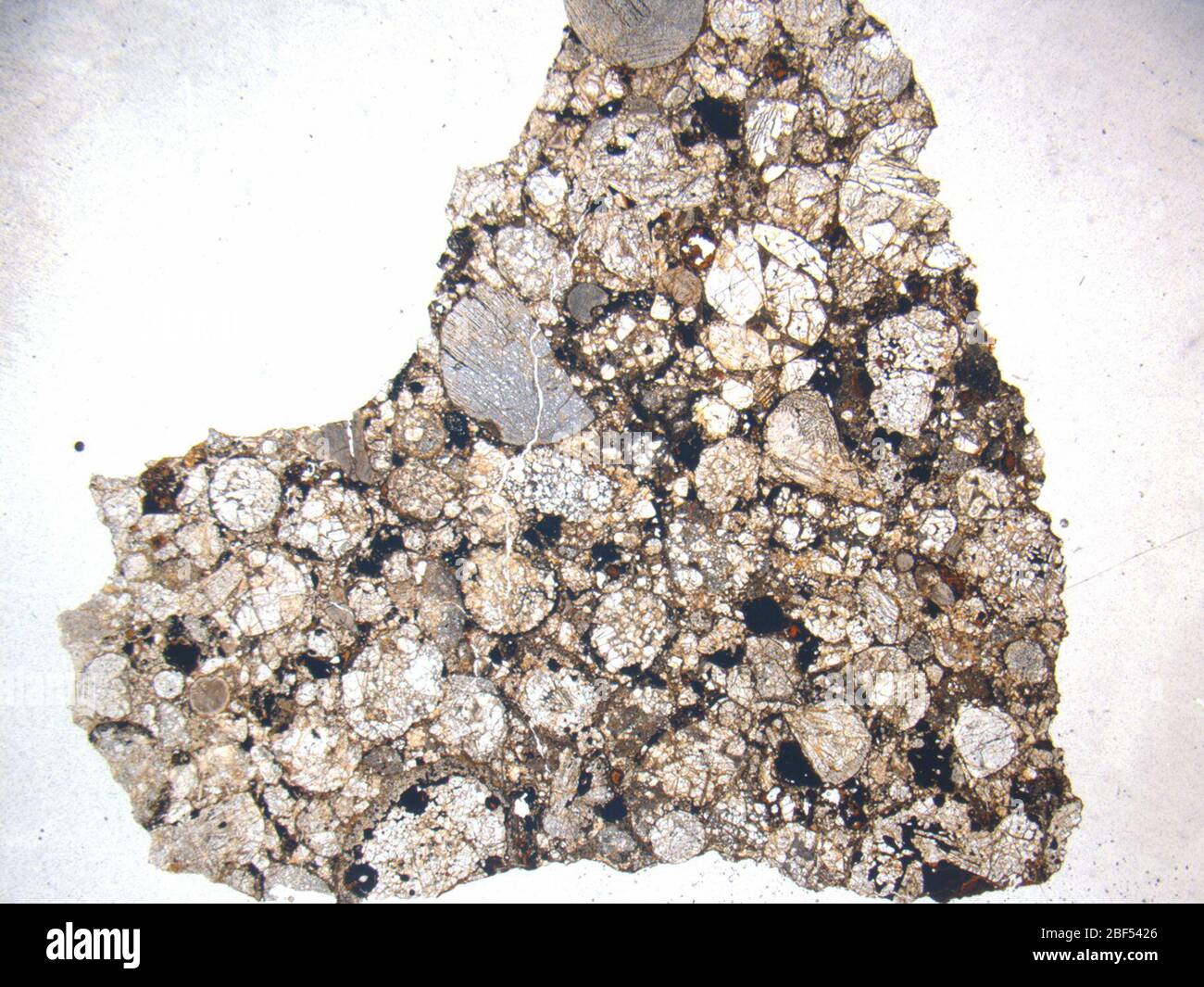 Micrograph of ALHA77167,8 meteorite under plane-polarized light at 1 ...