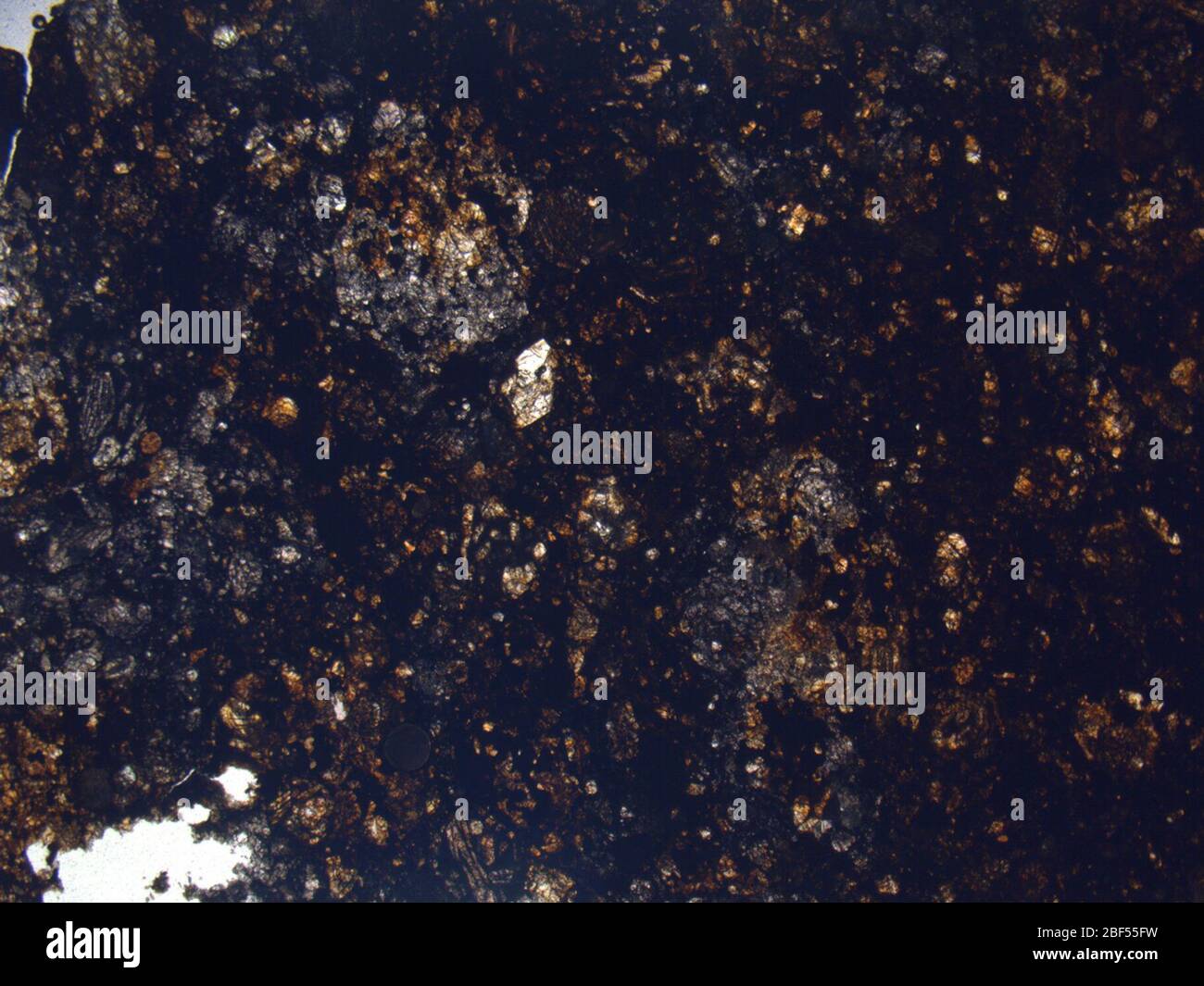 Micrograph of LAP 04556,2 meteorite under plane-polarized light at 1 ...