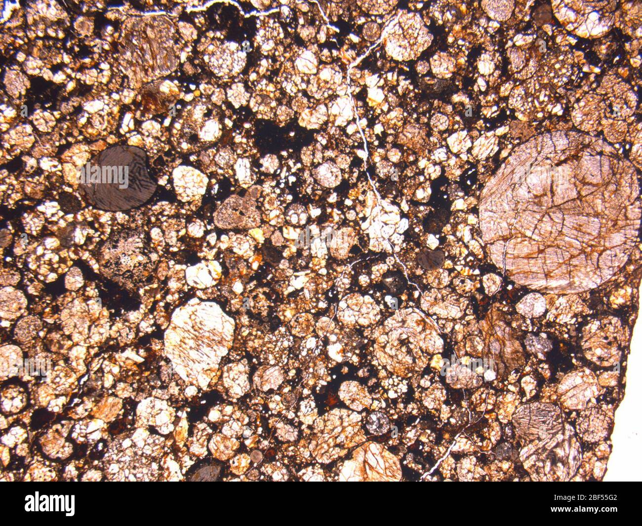 Micrograph of ALHA78038,11 meteorite under plane-polarized light at 1 ...
