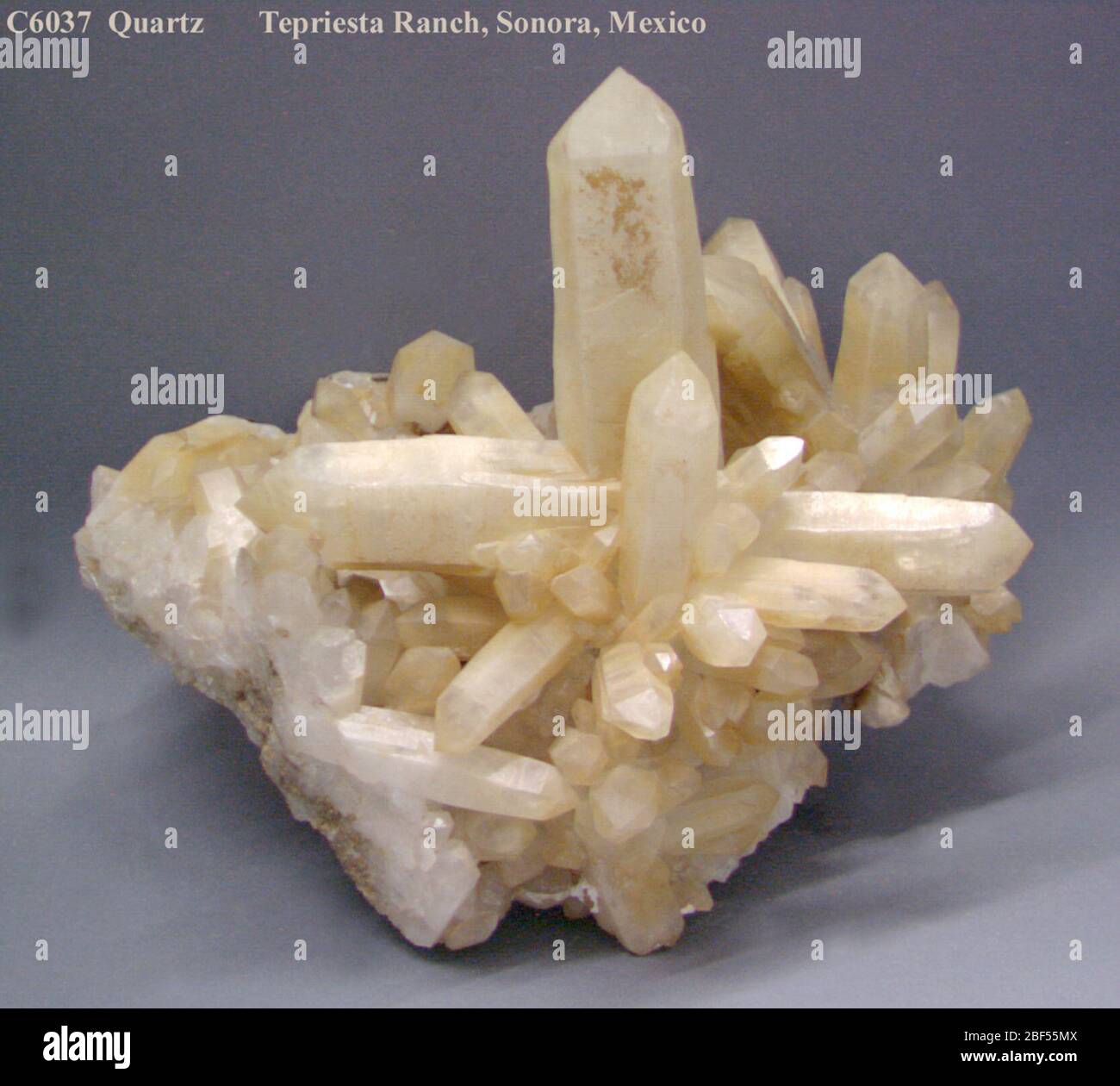 Quartz (NMNH C6037-00) from the National Mineral Collection. Stock Photo
