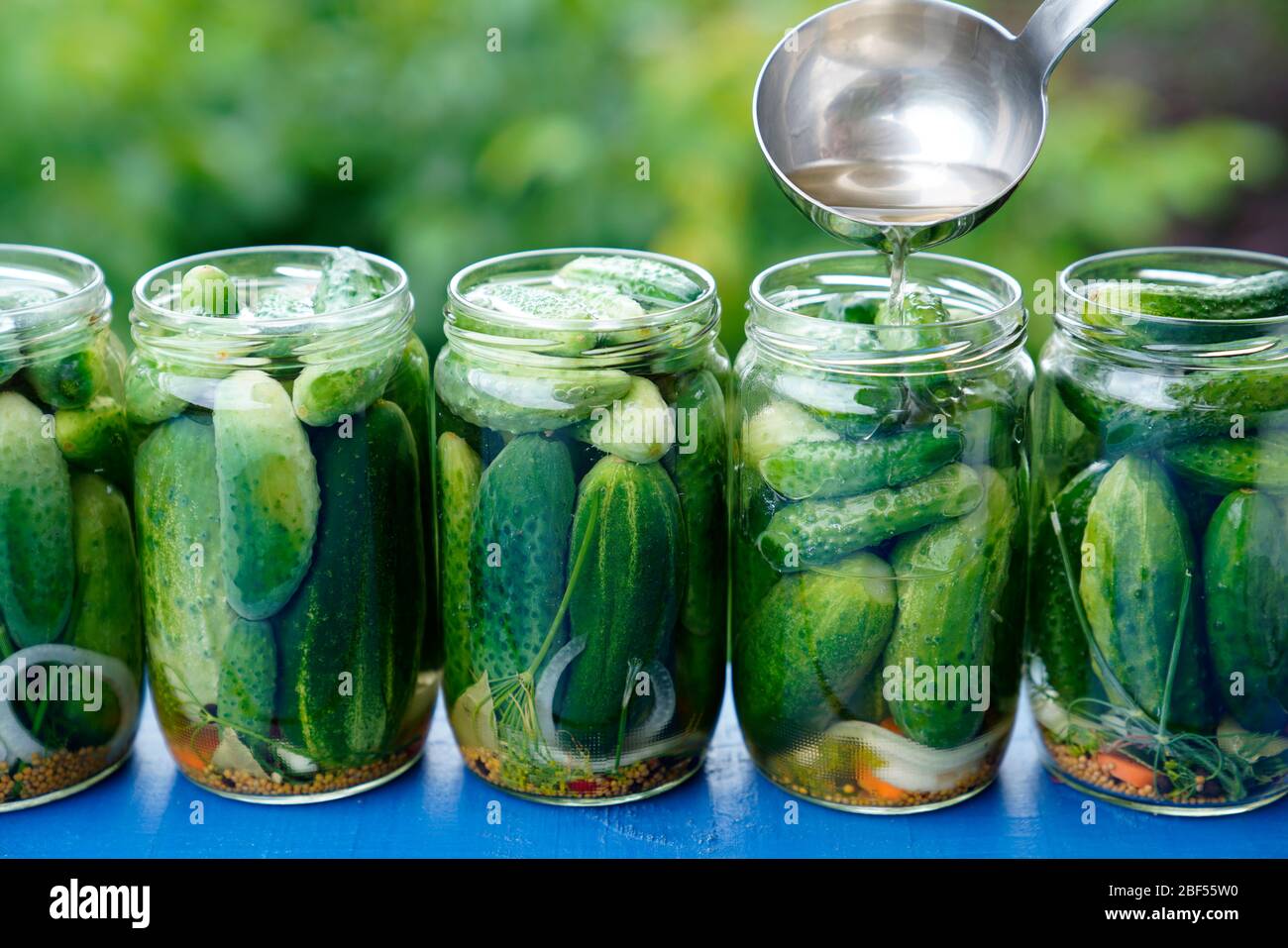 Preparation of pickled cucumbers, Karlovy Vary, Czech Republic, Europe