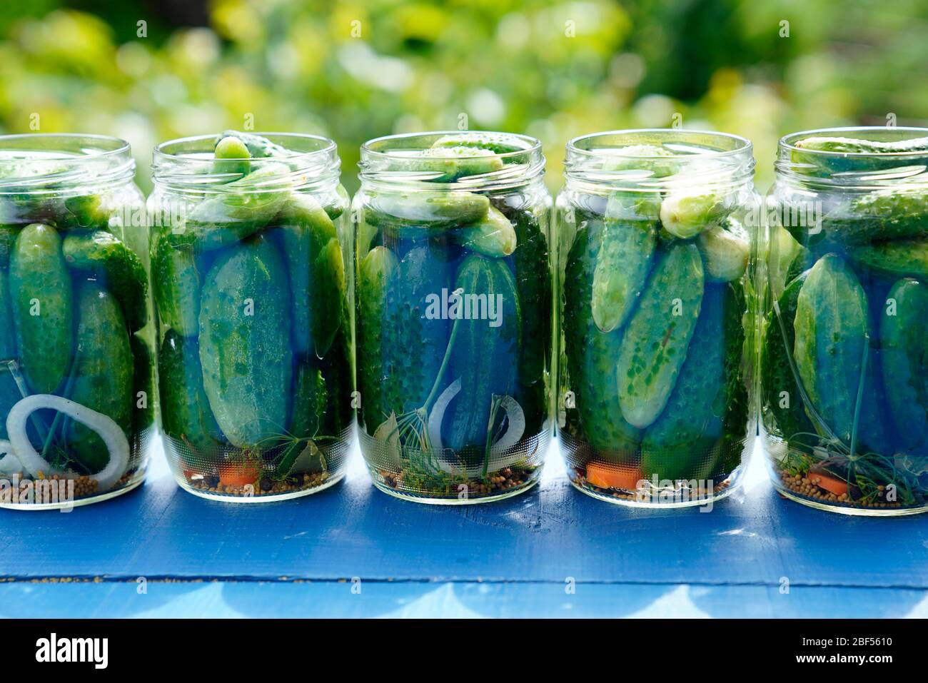Preparation of pickled cucumbers, Karlovy Vary, Czech Republic, Europe Stock Photo