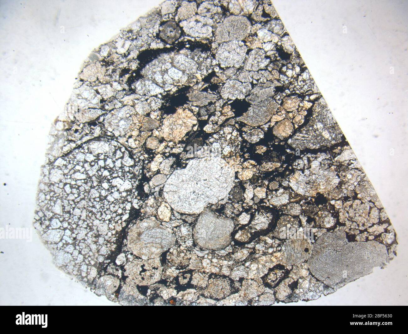 Micrograph of ALHA76004,2 meteorite under plane-polarized light at 1 ...
