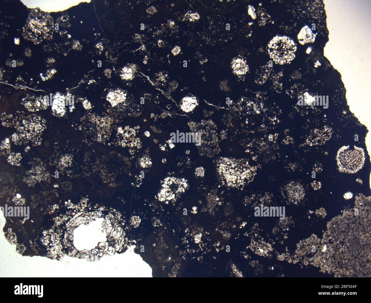 Micrograph of LAP 04843,4 meteorite under plane-polarized light at 1 ...