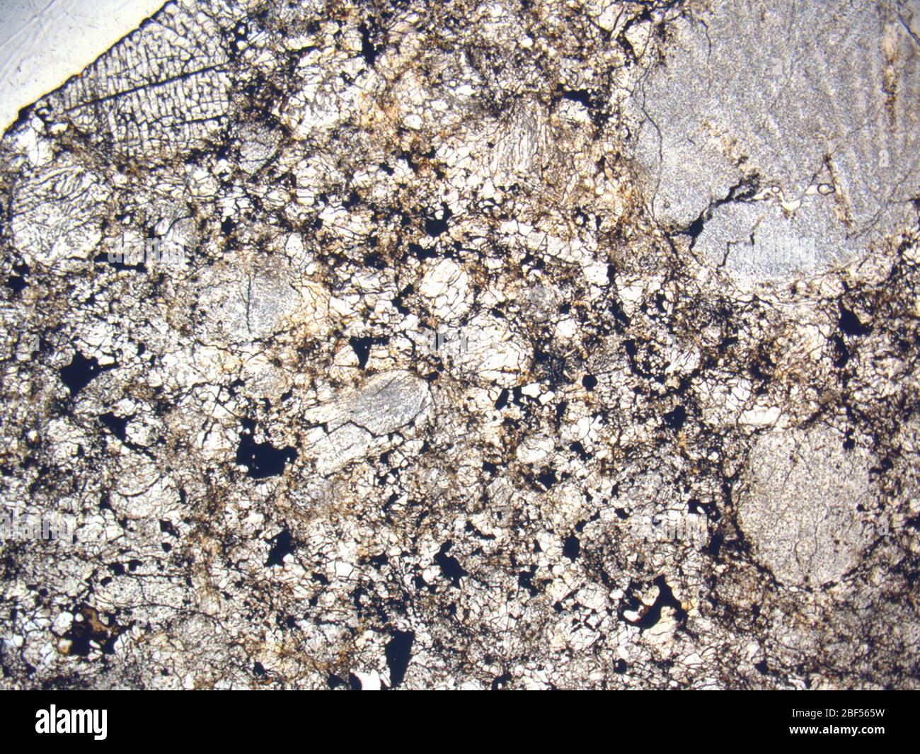 Micrograph of LAR 06399,2 meteorite under plane-polarized light at 1 ...