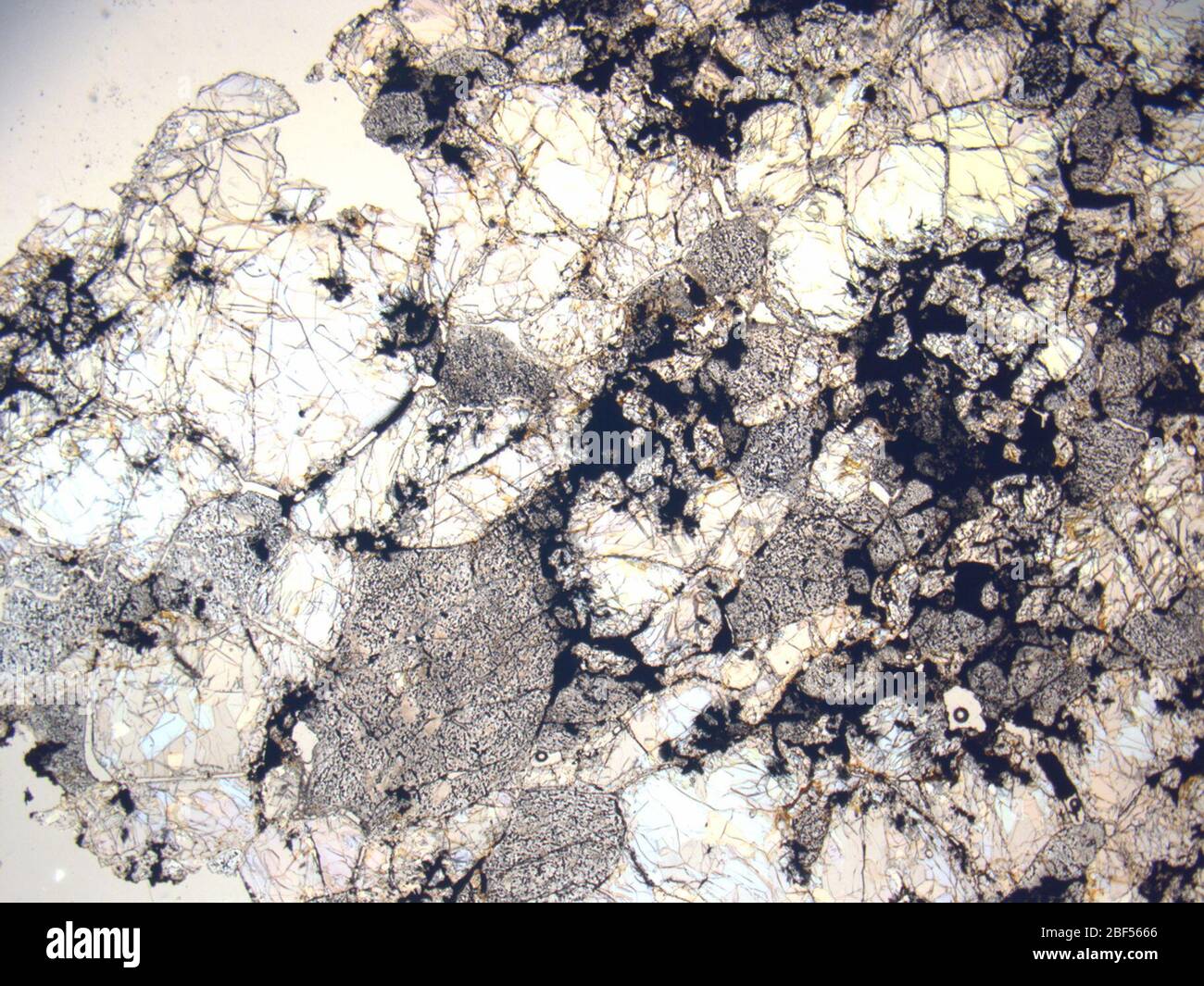 Micrograph of LAR 04315,2 meteorite under plane-polarized light at 1 ...