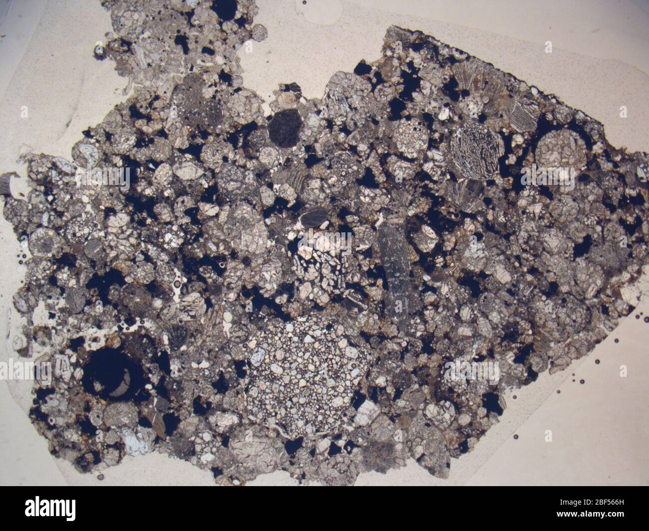 Micrograph of OTTA80301,2 meteorite under plane-polarized light at 1.25x magnification. Stock Photo