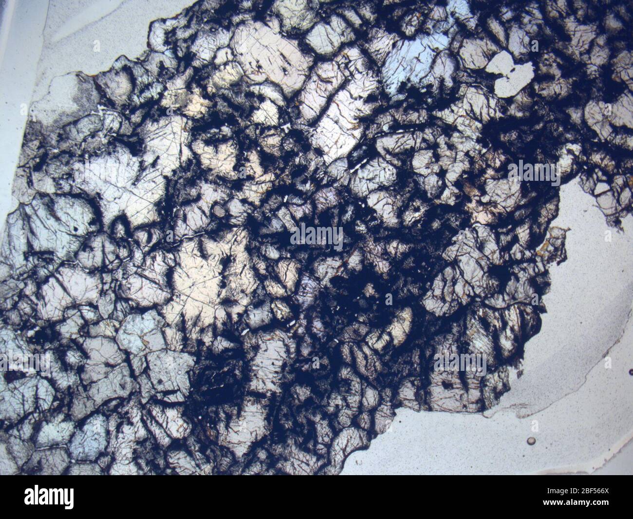 Micrograph of RKPA80239,2 meteorite under plane-polarized light at 1.25x magnification. Stock Photo