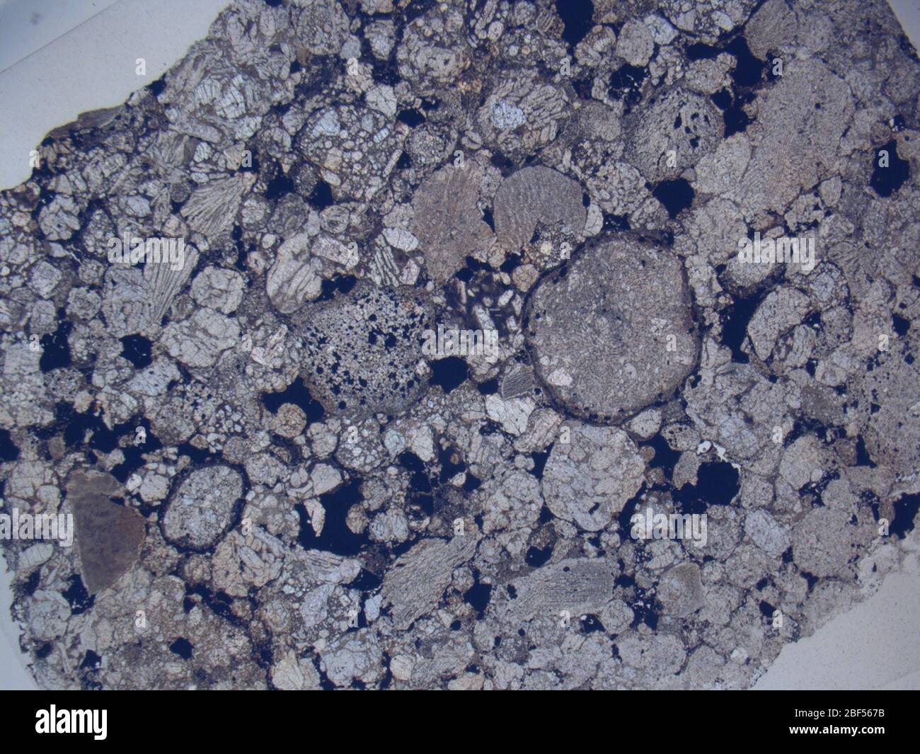 Micrograph of RKPA80256,2 meteorite under plane-polarized light at 1.25x magnification. Stock Photo