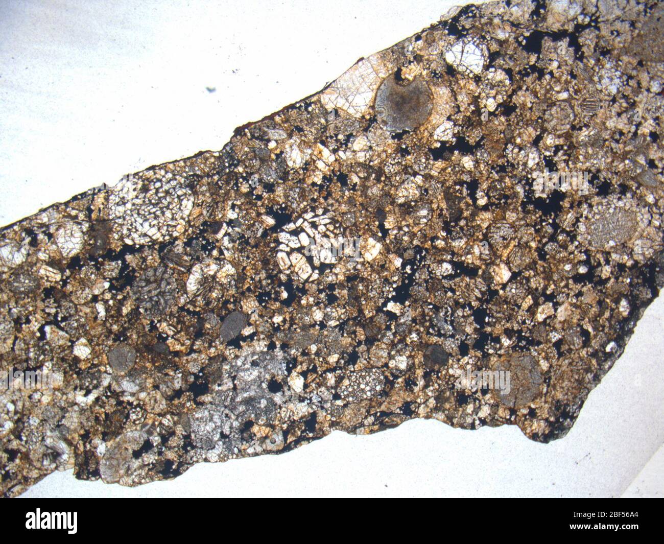 Micrograph of ALHA77262,9 meteorite under plane-polarized light at 1.25x magnification. Stock Photo