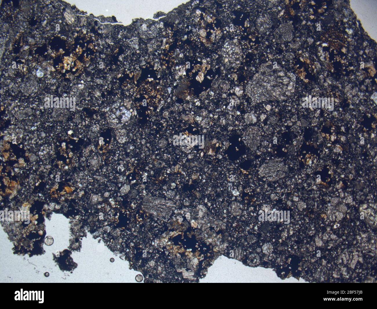 Micrograph of FIN 00101,2 meteorite under plane-polarized light at 1 ...