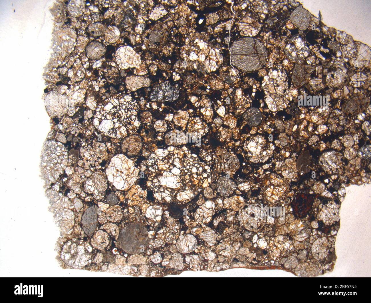 Micrograph of ALHA81065,2 meteorite under plane-polarized light at 1.25x magnification. Stock Photo