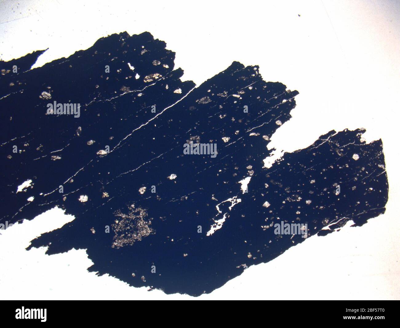 Micrograph of MET 00434,2 meteorite under plane-polarized light at 1 ...