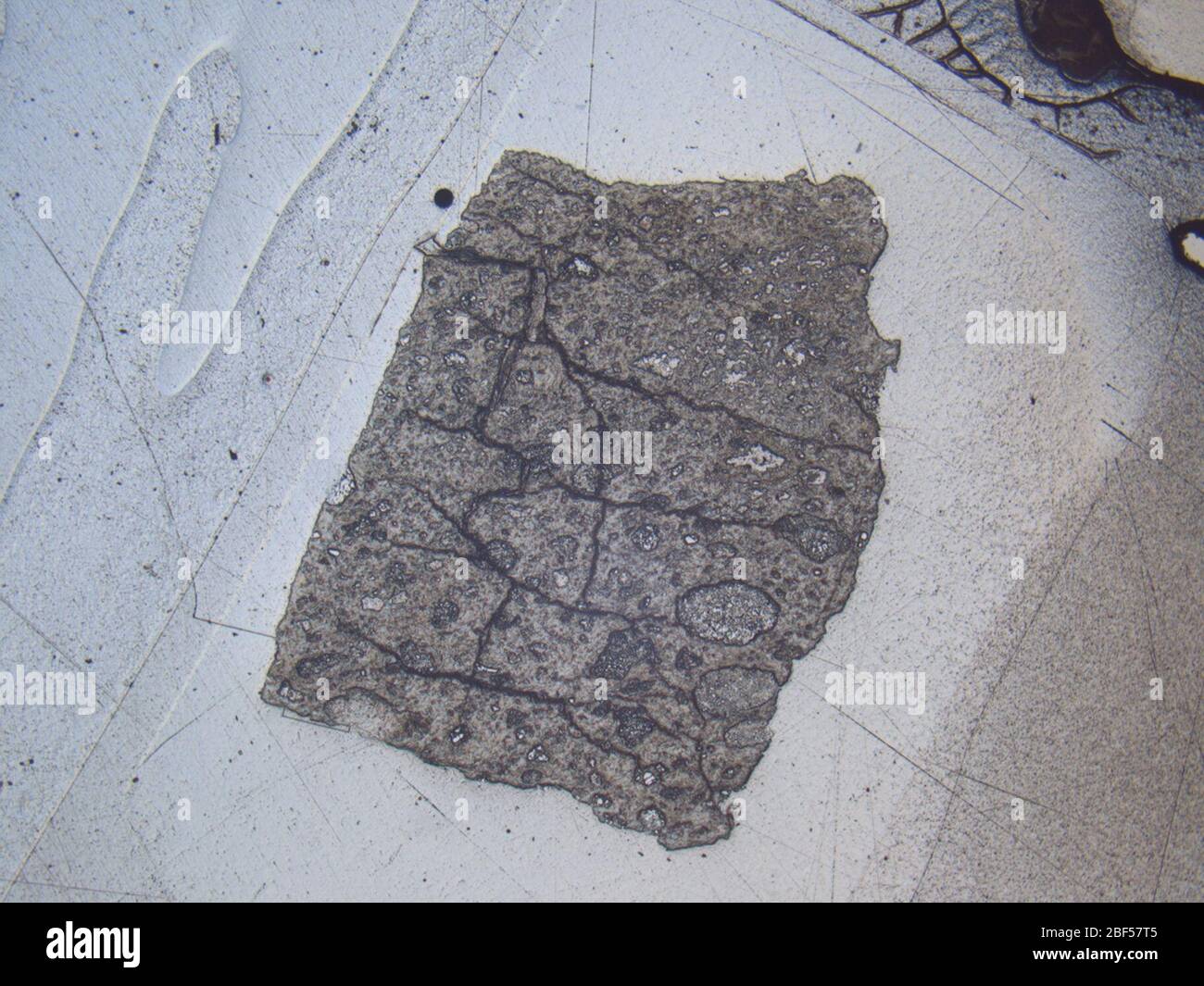 Micrograph of LEW 88003,3 meteorite under reflected light at 1.25x magnification. Stock Photo