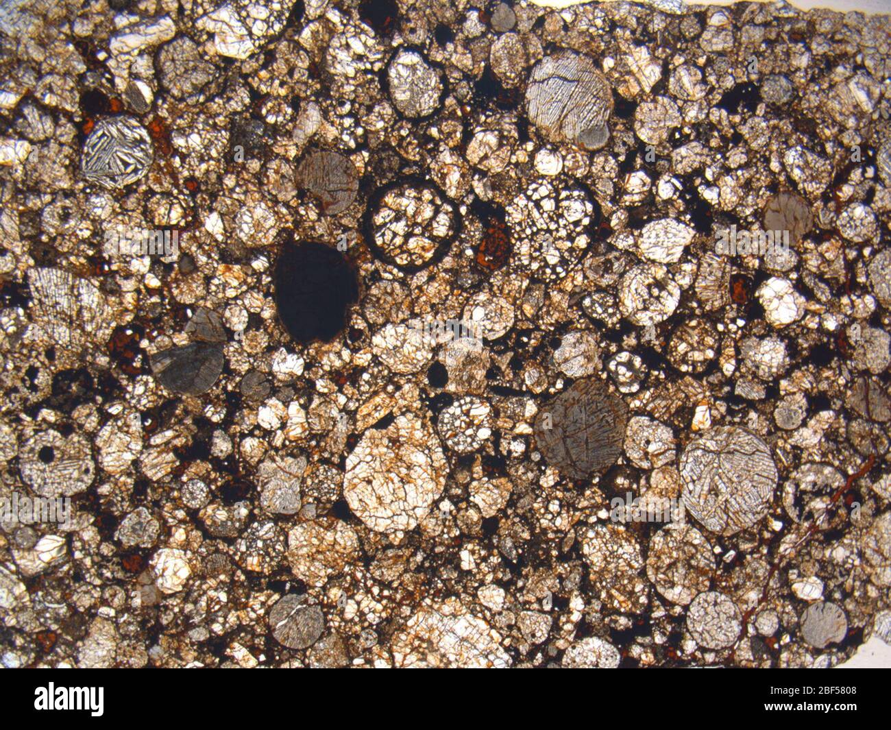 Micrograph of ALHA81087,2 meteorite under plane-polarized light at 1.25x magnification. Stock Photo