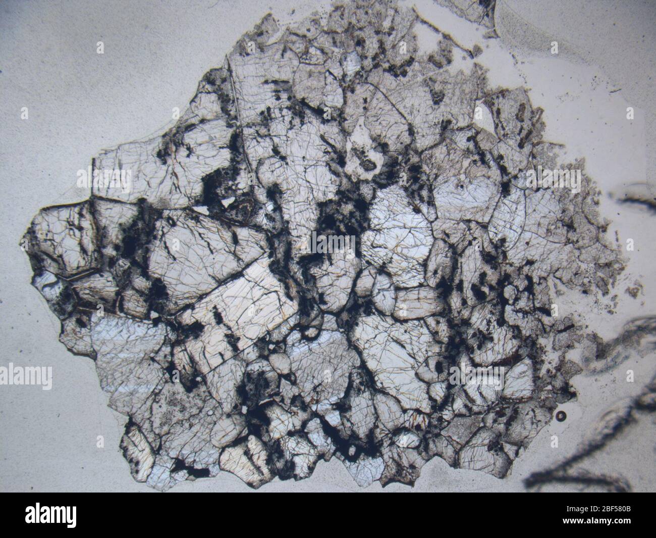 Micrograph of ALHA77257,7 meteorite under plane-polarized light at 1.25x magnification. Stock Photo